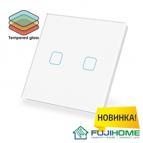 Сенсорный выключатель двухклавишный с подсветкой FUJIHOME FHZ-011G2W