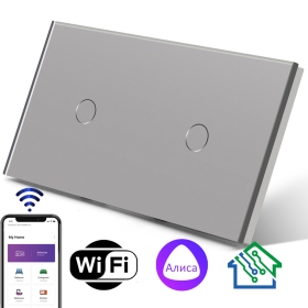 Умный сенсорный выключатель с WiFi FUJIHOME FHZ-006DG2G работает с Алисой, 2 поста