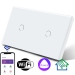 Умный сенсорный выключатель с WiFi FUJIHOME FHZ-006DG2W работает с Алисой, 2 поста